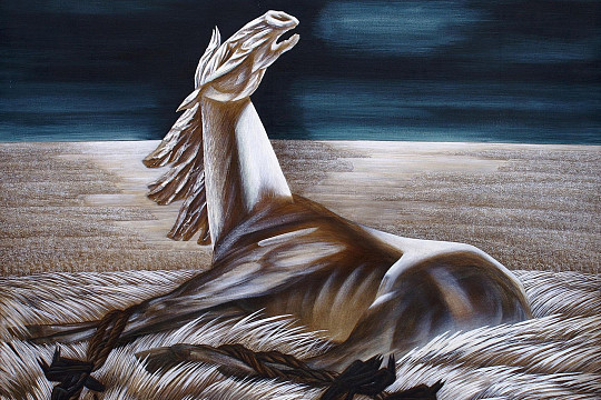 О картинах-притчах Джанны Тутунджан рассказывает проект «Птица – Жизнь»